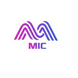 mic mic