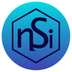 nsi nsi