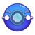 Ion Ion