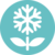 SnowBlossom SnowBlossom