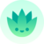 Agave Agave